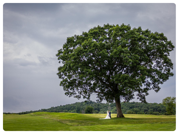 bride and groom under tree
